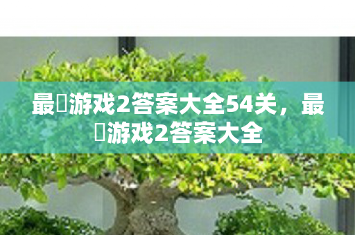 最囧游戏2答案大全54关,最囧游戏2答案大全 最囧游戏2答案大全54关,最囧游戏2答案大全