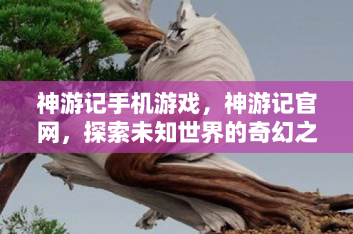 神游记手机游戏,神游记官网,探索未知世界的奇幻之旅 神游记手机游戏,神游记官网,探索未知世界的奇幻之旅