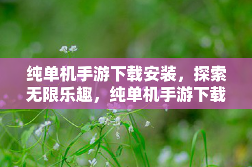 纯单机手游下载安装,探索无限乐趣,纯单机手游下载的魅力 纯单机手游下载安装,探索无限乐趣,纯单机手游下载的魅力