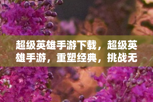 超级英雄手游下载,超级英雄手游,重塑经典,挑战无限可能 超级英雄手游下载,超级英雄手游,重塑经典,挑战无限可能