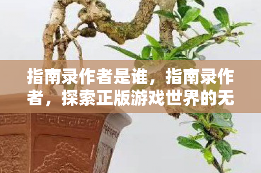 指南录作者是谁，指南录作者，探索正版游戏世界的无限可能
