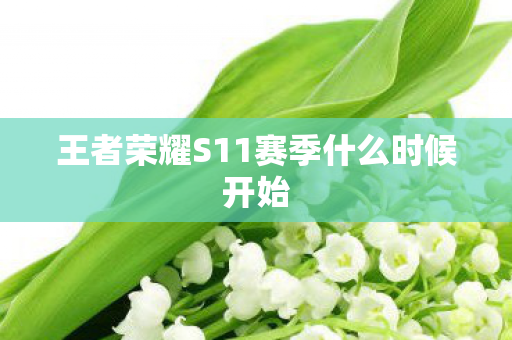 王者荣耀S11赛季什么时候开始 王者荣耀S11赛季什么时候开始