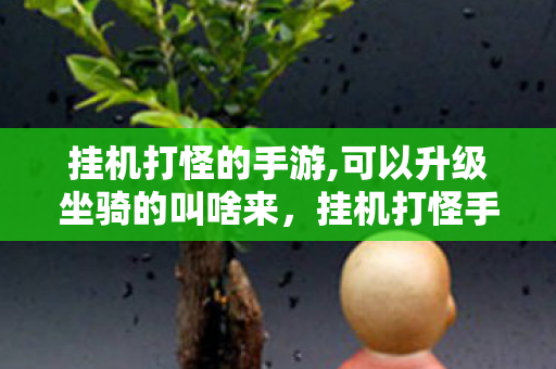 可以升级坐骑的叫啥来图片