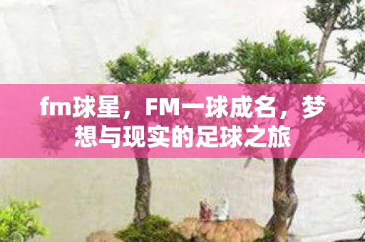梦想与现实的足球之旅图片