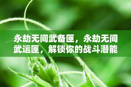 永劫无间武备匣，永劫无间武运匣，解锁你的战斗潜能