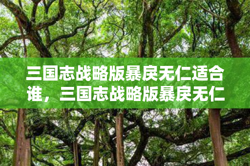 三国志战略版暴戾无仁适合谁,三国志战略版暴戾无仁,乱世中的英雄抉择 三国志战略版暴戾无仁适合谁,三国志战略版暴戾无仁,乱世中的英雄抉择