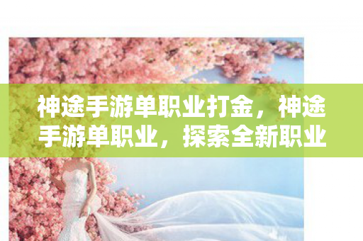 神途手游单职业打金图片