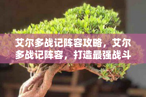 艾尔多战记阵容攻略,艾尔多战记阵容,打造最强战斗团队 艾尔多战记阵容攻略,艾尔多战记阵容,打造最强战斗团队