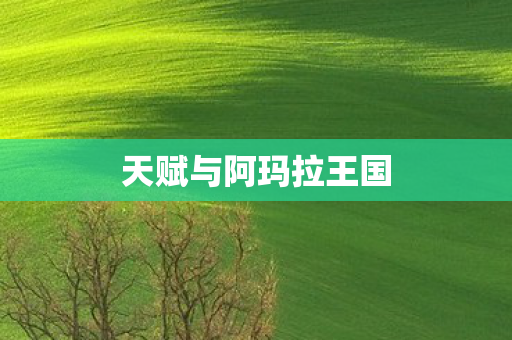 天赋与阿玛拉王国 天赋与阿玛拉王国