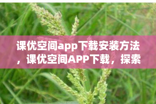 课优空间app下载安装方法，课优空间APP下载，探索高效学习新境界