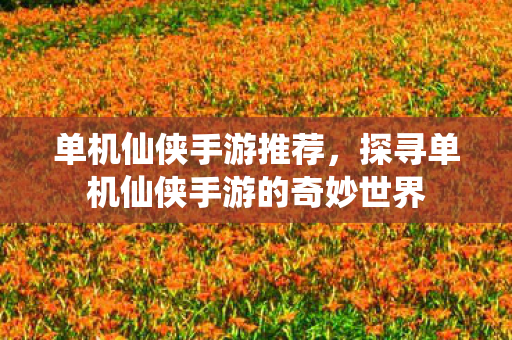 单机仙侠手游推荐,探寻单机仙侠手游的奇妙世界 单机仙侠手游推荐,探寻单机仙侠手游的奇妙世界