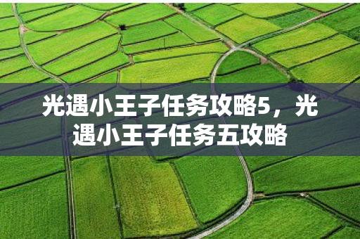 光遇小王子任务攻略5,光遇小王子任务五攻略 光遇小王子任务攻略5,光遇小王子任务五攻略