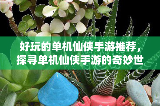 探寻单机仙侠手游的奇妙世界图片