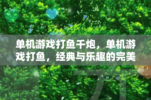 经典与乐趣的完美结合图片