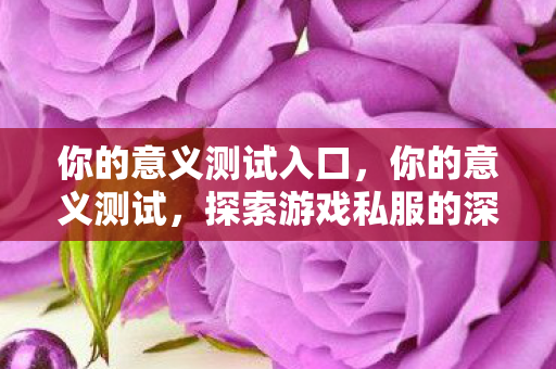 你的意义测试入口,你的意义测试,探索游戏私服的深层价值 你的意义测试入口,你的意义测试,探索游戏私服的深层价值