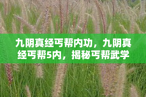 揭秘丐帮武学精髓与内功心法图片