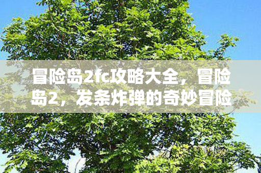 冒险岛2fc攻略大全图片