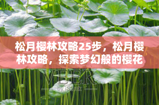 探索梦幻般的樱花秘境图片