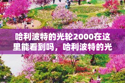 哈利波特的光轮2000在这里能看到吗,哈利波特的光轮2000在这里,魔法与科技的奇妙融合 哈利波特的光轮2000在这里能看到吗,哈利波特的光轮2000在这里,魔法与科技的奇妙融合