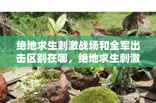 绝地求生刺激战场和全军出击区别在哪图片