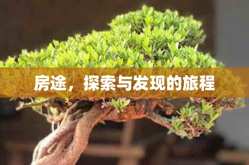 房途,探索与发现的旅程 房途,探索与发现的旅程