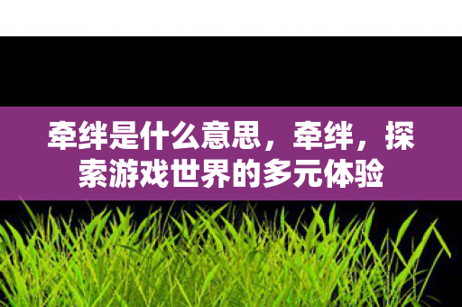 探索游戏世界的多元体验图片