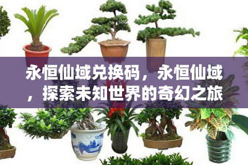 永恒仙域兑换码,永恒仙域,探索未知世界的奇幻之旅 永恒仙域兑换码,永恒仙域,探索未知世界的奇幻之旅