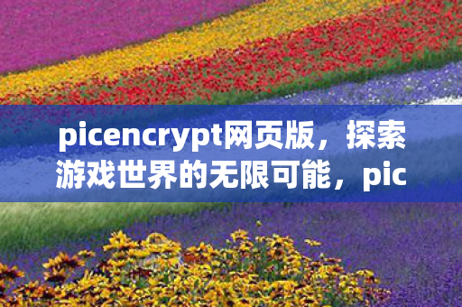 picencrypt带来的全新游戏体验图片