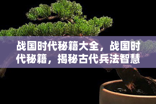揭秘古代兵法智慧与现代商业应用图片