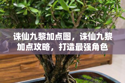 诛仙九黎加点攻略图片