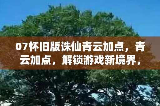 07怀旧版诛仙青云加点图片