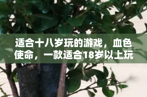 一款适合18岁以上玩家的硬核游戏图片