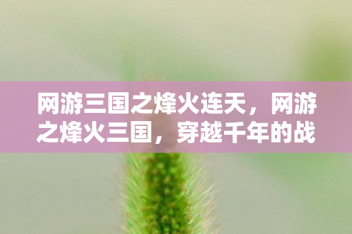网游三国之烽火连天,网游之烽火三国,穿越千年的战场豪情 网游三国之烽火连天,网游之烽火三国,穿越千年的战场豪情
