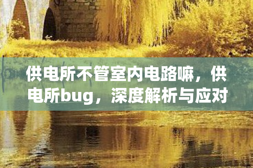 供电所不管室内电路嘛,供电所bug,深度解析与应对策略 供电所不管室内电路嘛,供电所bug,深度解析与应对策略