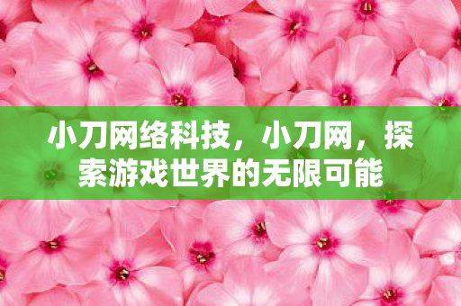 小刀网络科技,小刀网,探索游戏世界的无限可能 小刀网络科技,小刀网,探索游戏世界的无限可能