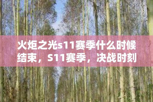 火炬之光s11赛季什么时候结束,S11赛季,决战时刻的倒计时 火炬之光s11赛季什么时候结束,S11赛季,决战时刻的倒计时