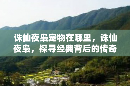 诛仙夜枭宠物在哪里,诛仙夜枭,探寻经典背后的传奇故事 诛仙夜枭宠物在哪里,诛仙夜枭,探寻经典背后的传奇故事