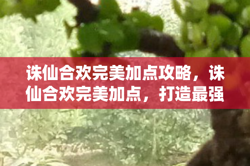 诛仙合欢完美加点攻略，诛仙合欢完美加点，打造最强合欢角色