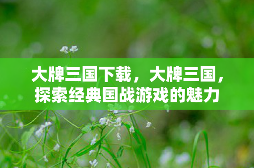大牌三国下载，大牌三国，探索经典国战游戏的魅力