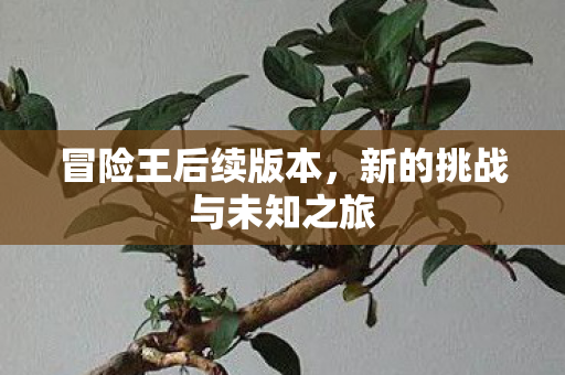 冒险王后续版本,新的挑战与未知之旅 冒险王后续版本,新的挑战与未知之旅