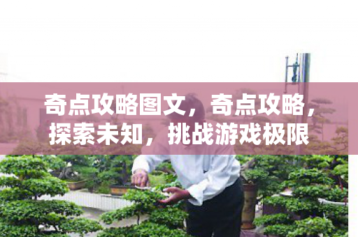奇点攻略图文图片