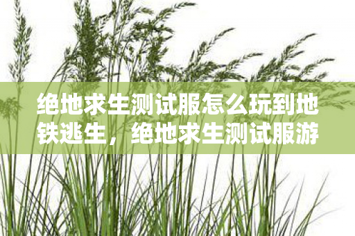 绝地求生测试服怎么玩到地铁逃生，绝地求生测试服游玩指南