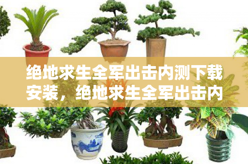 绝地求生全军出击内测下载安装,绝地求生全军出击内测下载,抢先体验未来战场 绝地求生全军出击内测下载安装,绝地求生全军出击内测下载,抢先体验未来战场