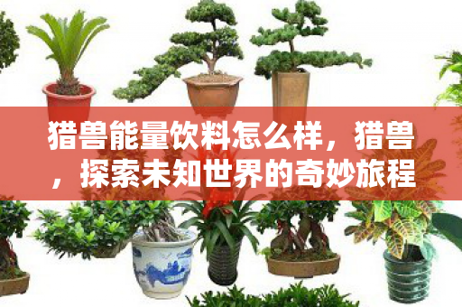 猎兽能量饮料怎么样，猎兽，探索未知世界的奇妙旅程