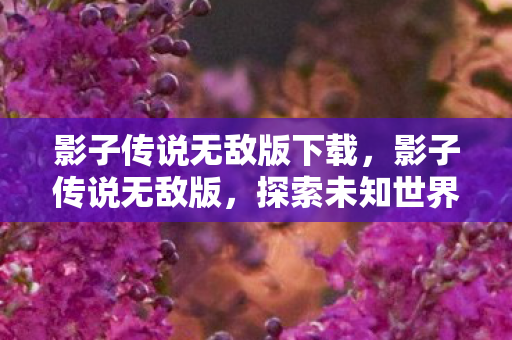 影子传说无敌版下载,影子传说无敌版,探索未知世界的奇幻之旅 影子传说无敌版下载,影子传说无敌版,探索未知世界的奇幻之旅