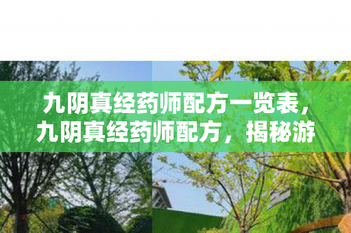 九阴真经药师配方一览表,九阴真经药师配方,揭秘游戏中的神秘药剂制作 九阴真经药师配方一览表,九阴真经药师配方,揭秘游戏中的神秘药剂制作
