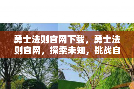 勇士法则官网下载,勇士法则官网,探索未知,挑战自我,成为真正的勇士 勇士法则官网下载,勇士法则官网,探索未知,挑战自我,成为真正的勇士