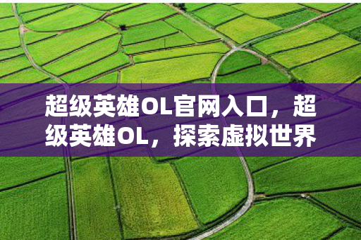 超级英雄OL官网入口，超级英雄OL，探索虚拟世界的无限可能