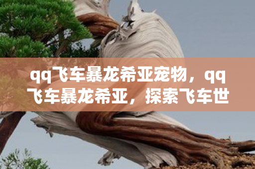 qq飞车暴龙希亚宠物，qq飞车暴龙希亚，探索飞车世界的奇幻之旅