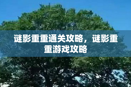 谜影重重通关攻略，谜影重重游戏攻略